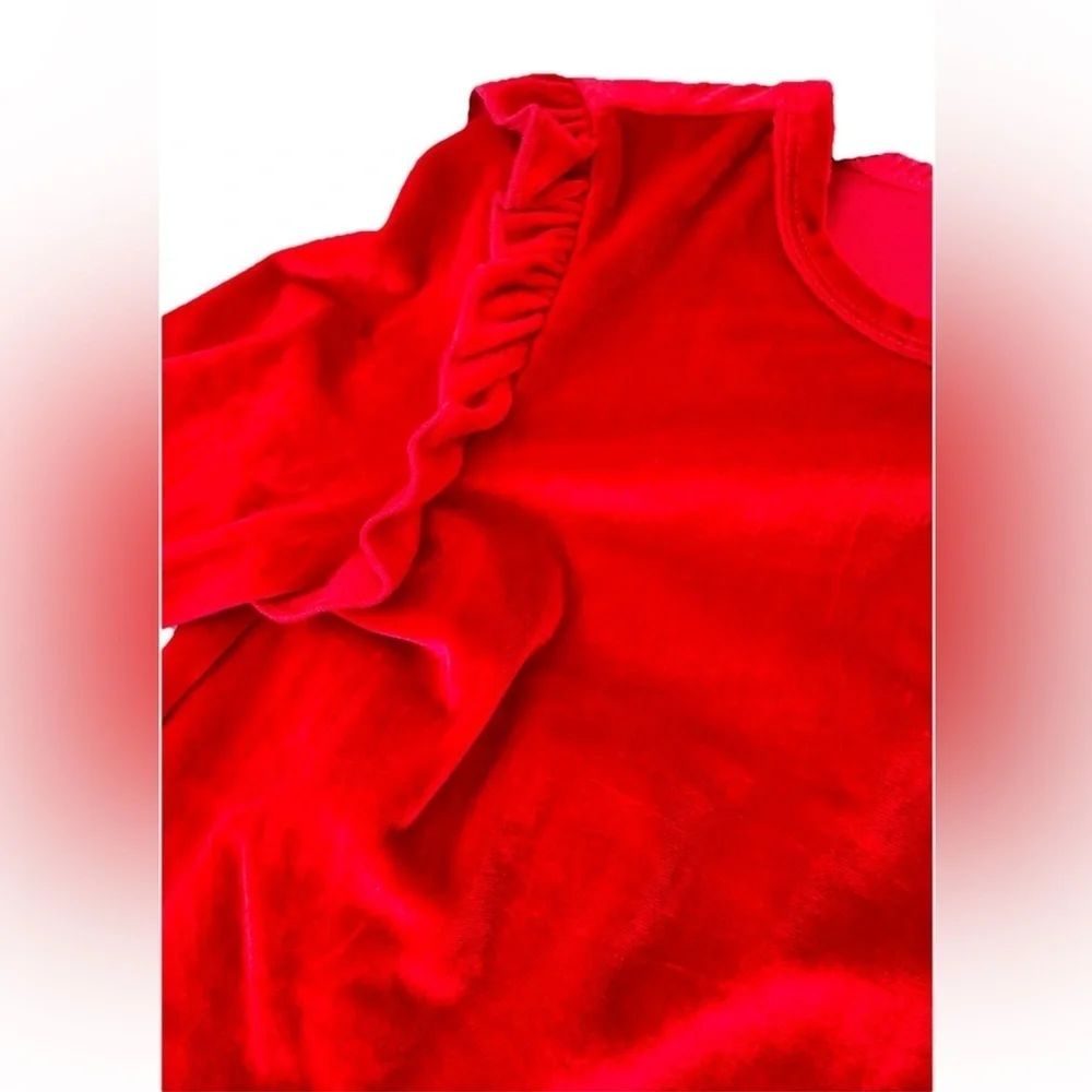 BCBG Girls' Red Velvet 2 Piece outfit Leggings Velvet Set Outfit Pick Size